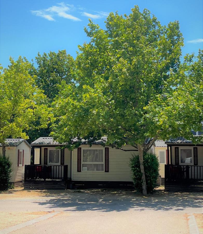 Bungalows Zaragoza Camping Eksteriør bilde