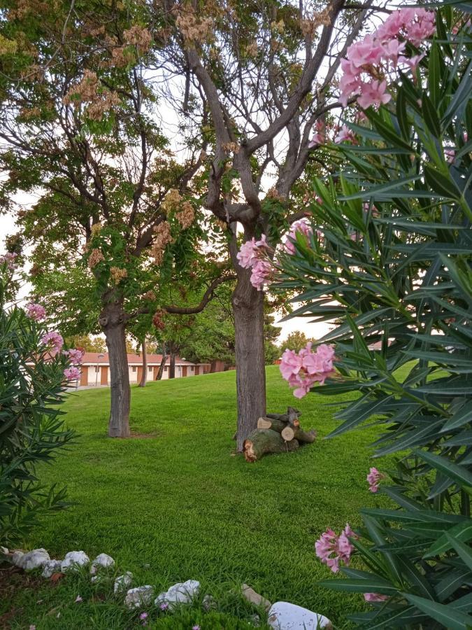 Bungalows Zaragoza Camping Eksteriør bilde