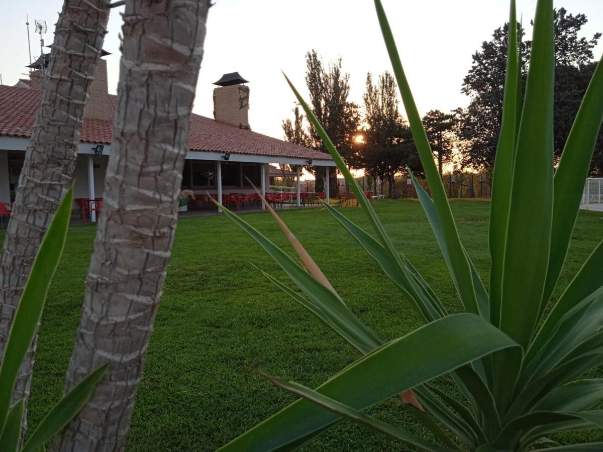 Bungalows Zaragoza Camping Eksteriør bilde